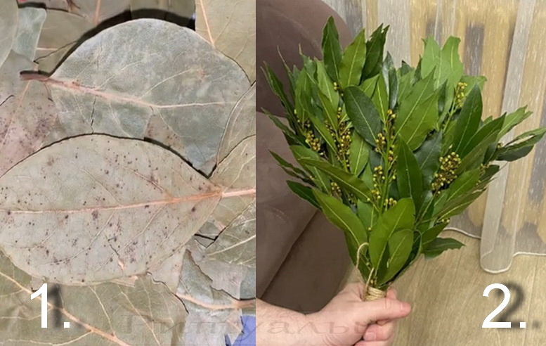 Каритинка 1. Возьмите на заметку цвет листьев. Слева (1): бумажная парционная урпаковка (как в магазине). Справа (2):  лавр в виде веника для бани. Тот, что слева - работать будет на 0,001%, тот, что справа - на 100%