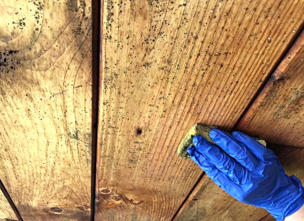 vytegra.dezsluzhbases.ru