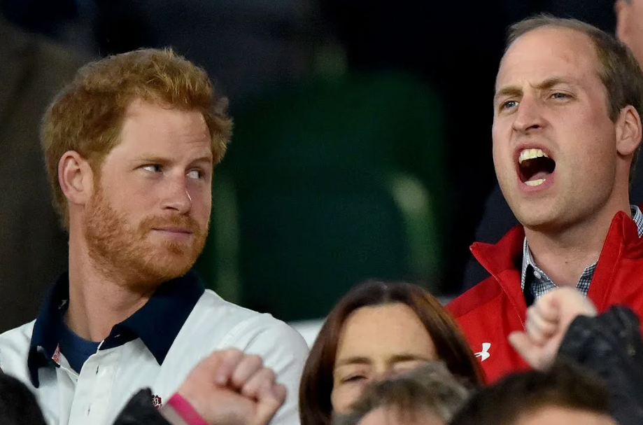 «Полный запрет на приближение»: почему принц Уильям может официально избавиться от брата