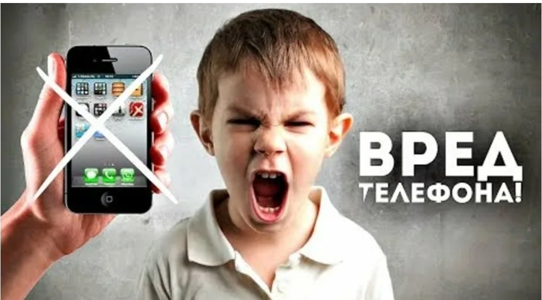 Фото из открытого источника