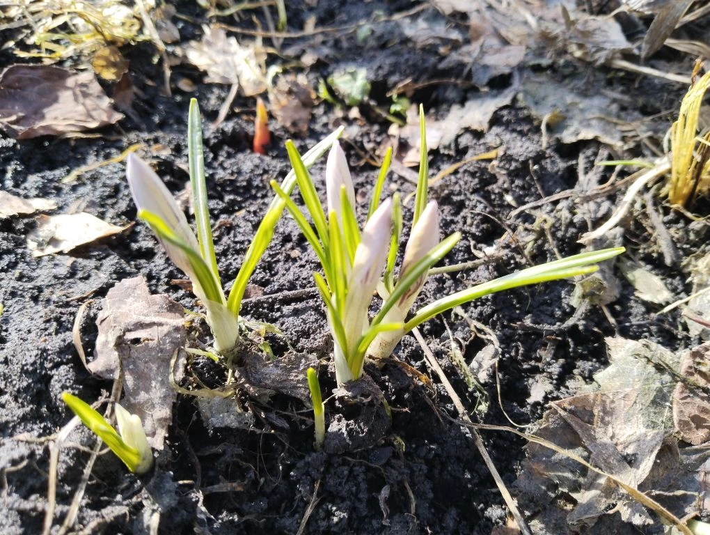 19.04.2026