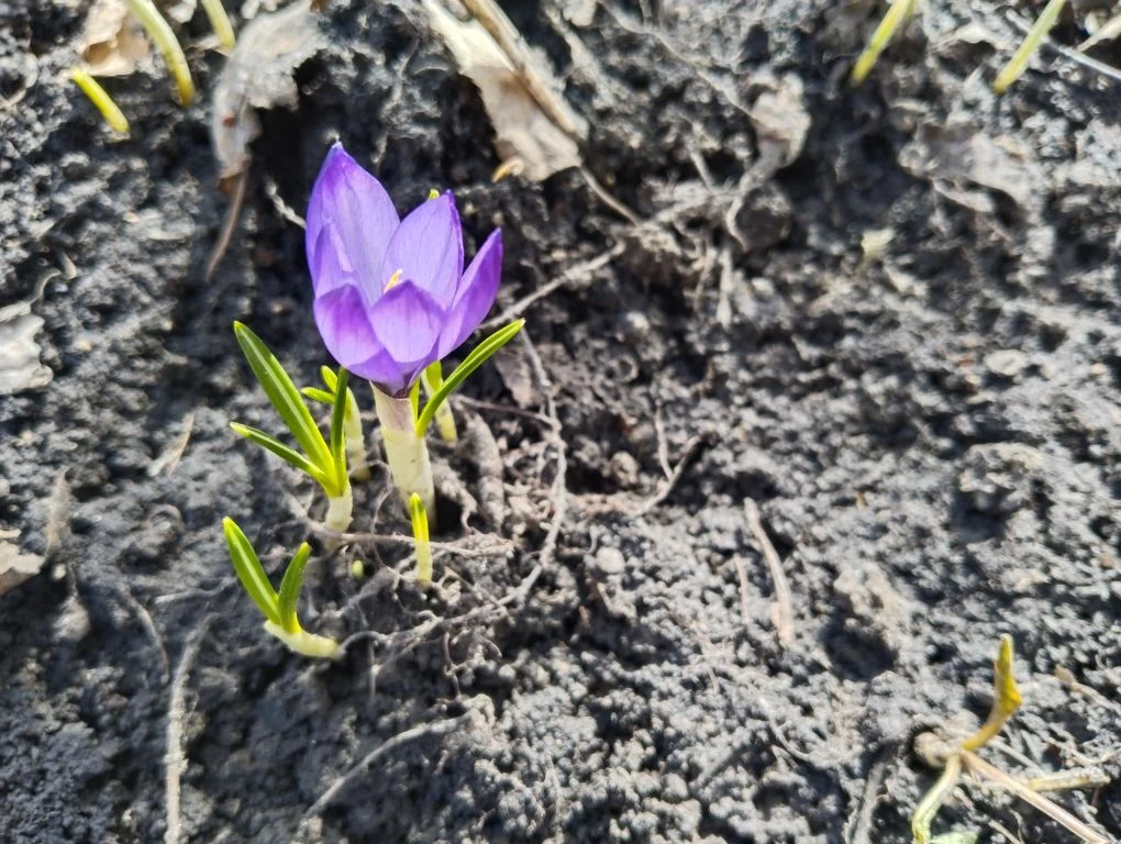 19.04.2026