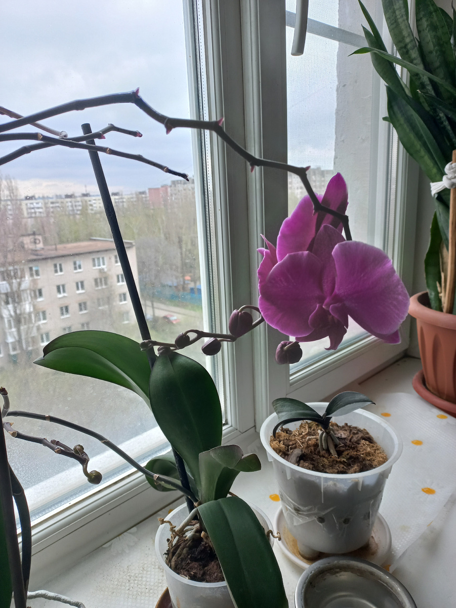 Фото личное