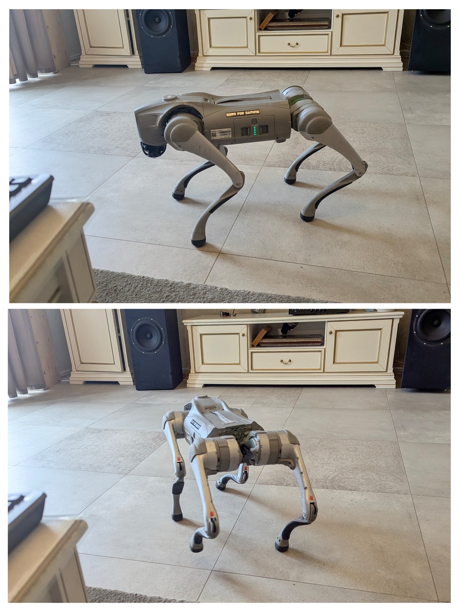Фото робота собаки, для привлечения вашего внимания.