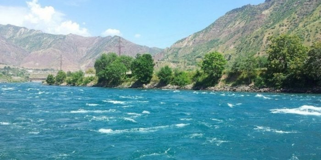 Туркменистан принимает участие в программе по восстановлению экосистем