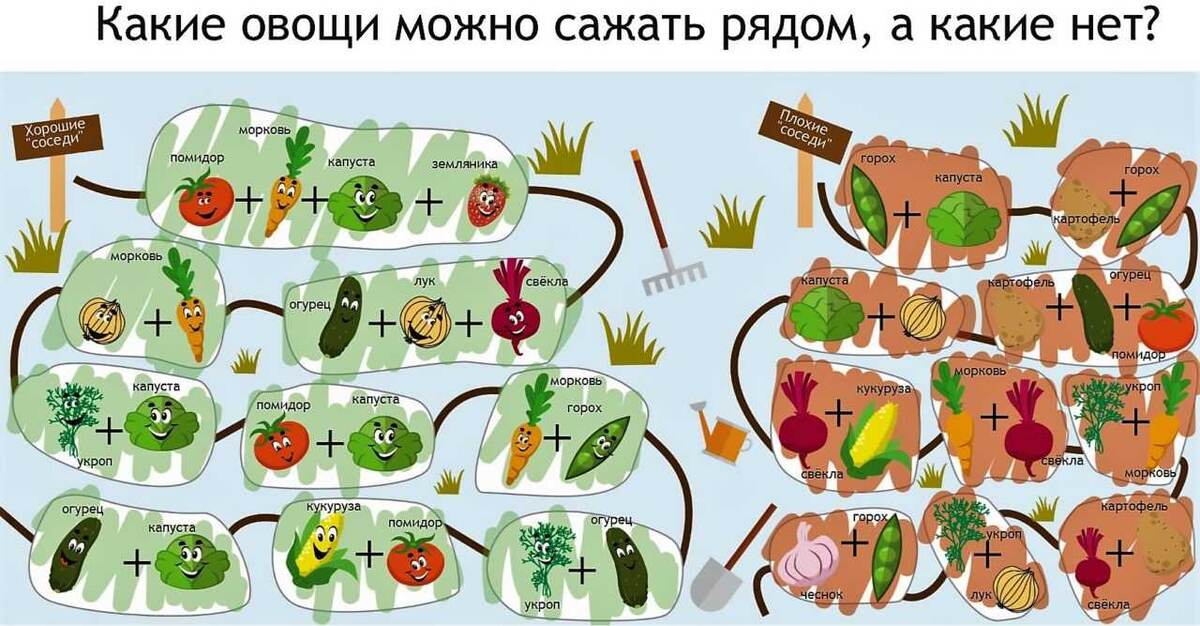 Смешанные посадки