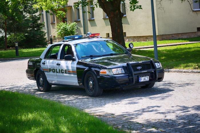 Обложка © Shutterstock / FOTODOM / FotoDax