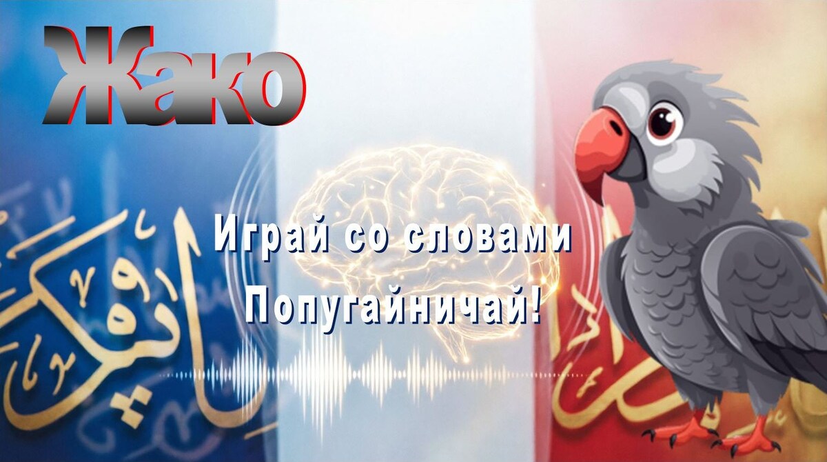 игры взрослых с арабским и французском языками