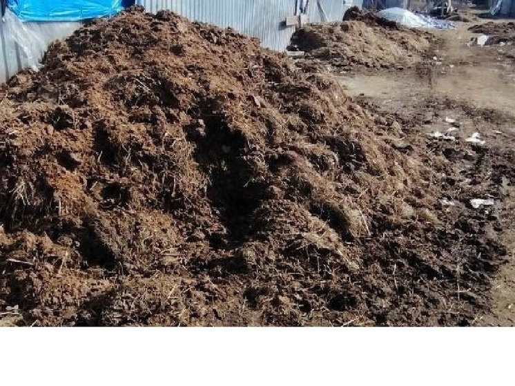     Фото: О чем говорит Кондопога в ВК