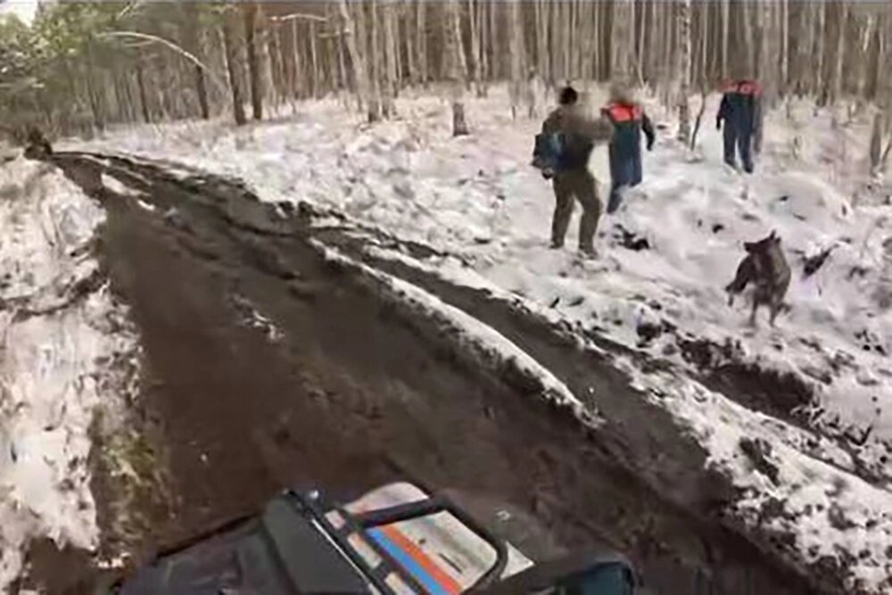 фото: яндекс.