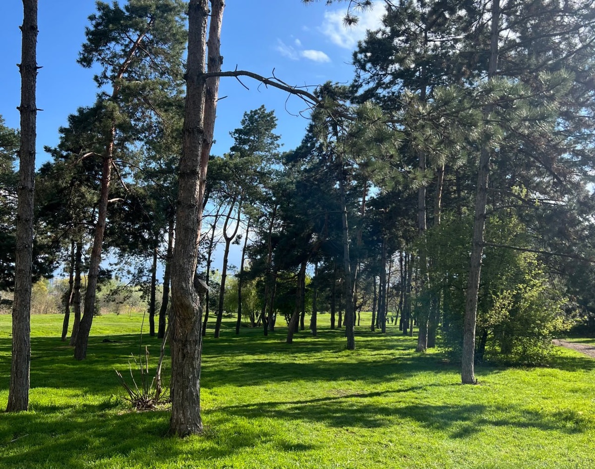 Фото: РБК Юг