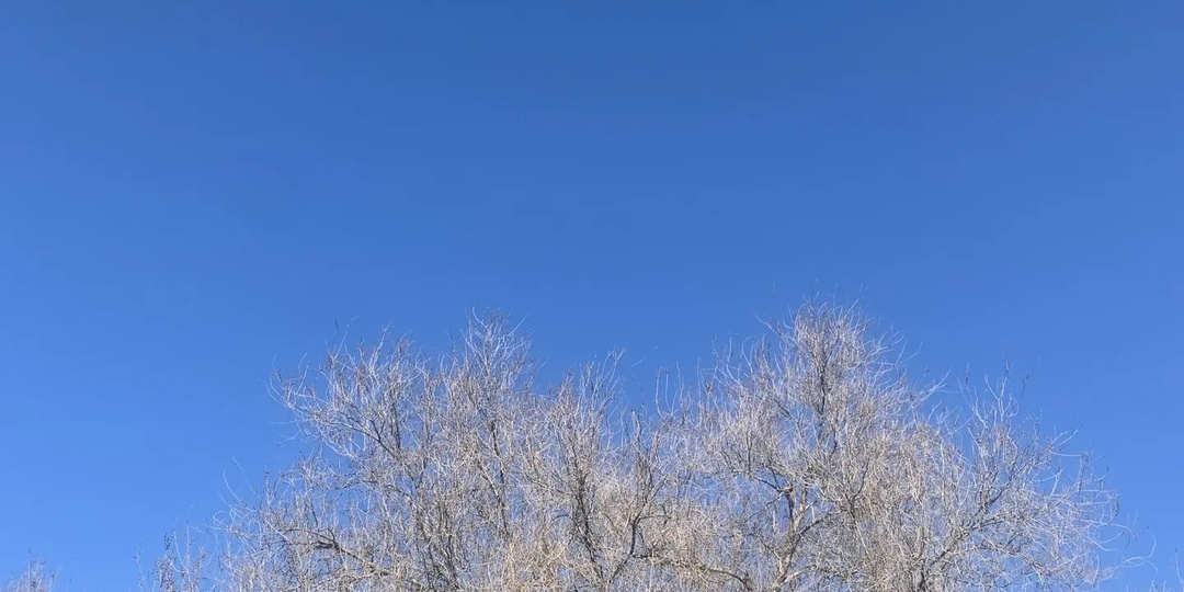 14 апреля 2026 года  Вторник. Обычный день