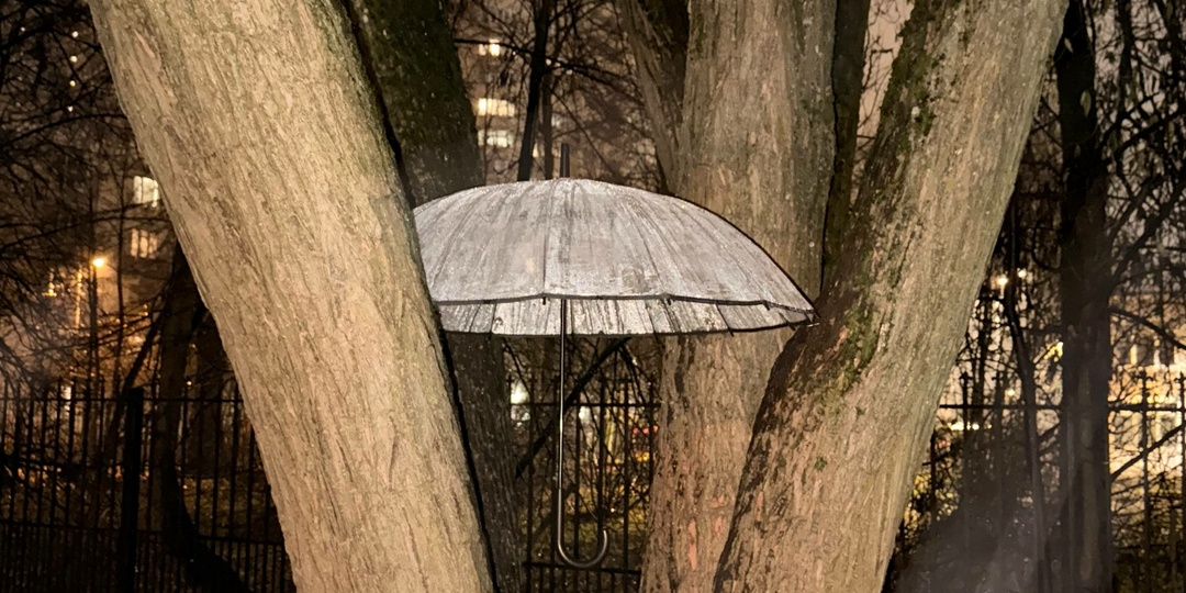 Холода и снег могут прийти в Петербург в среду и остаться до конца апреля