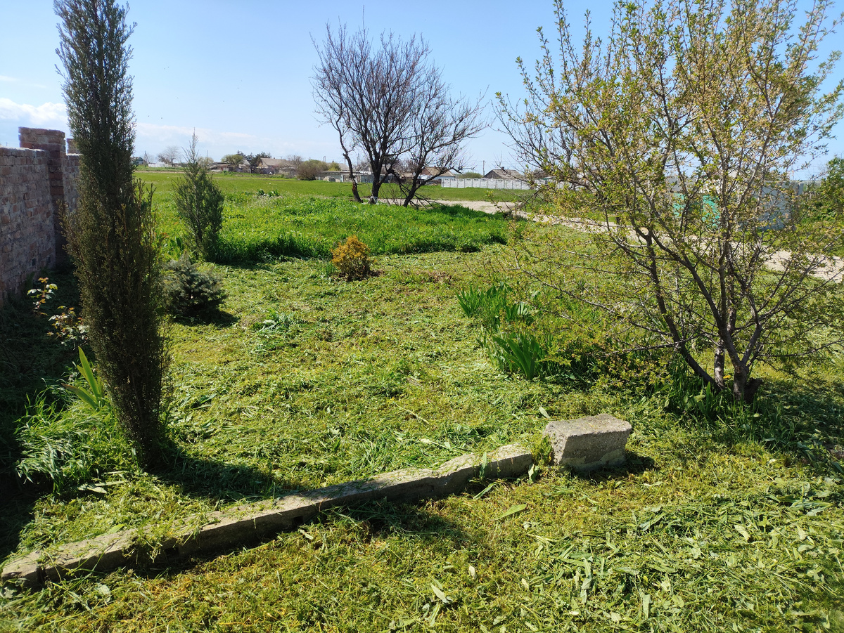 Смогла только половину скосить...