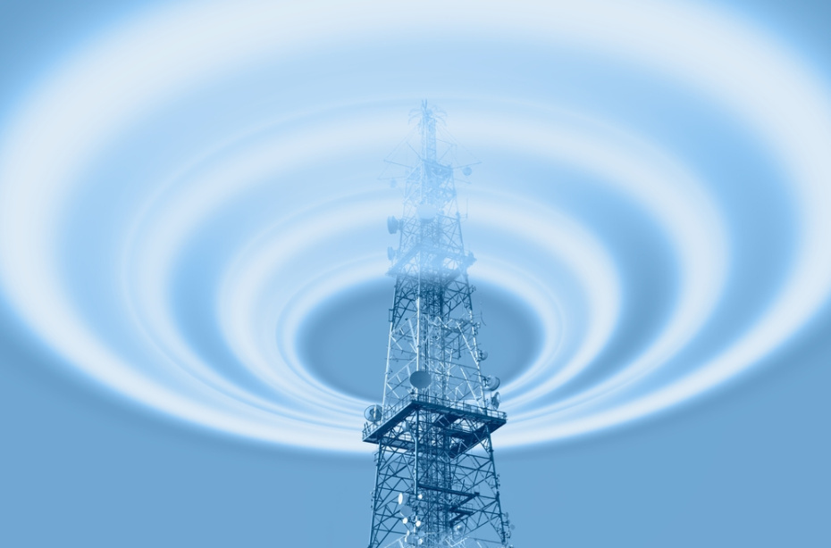    Shutterstock/FOTODOM