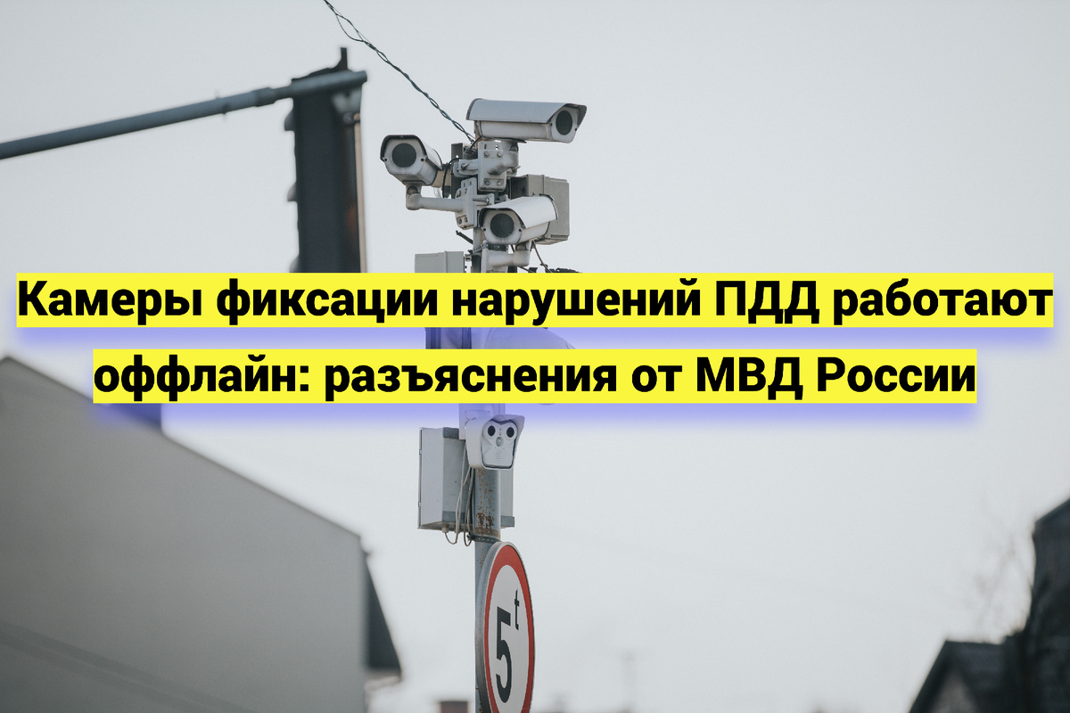Источник фото:  ru.freepik.com