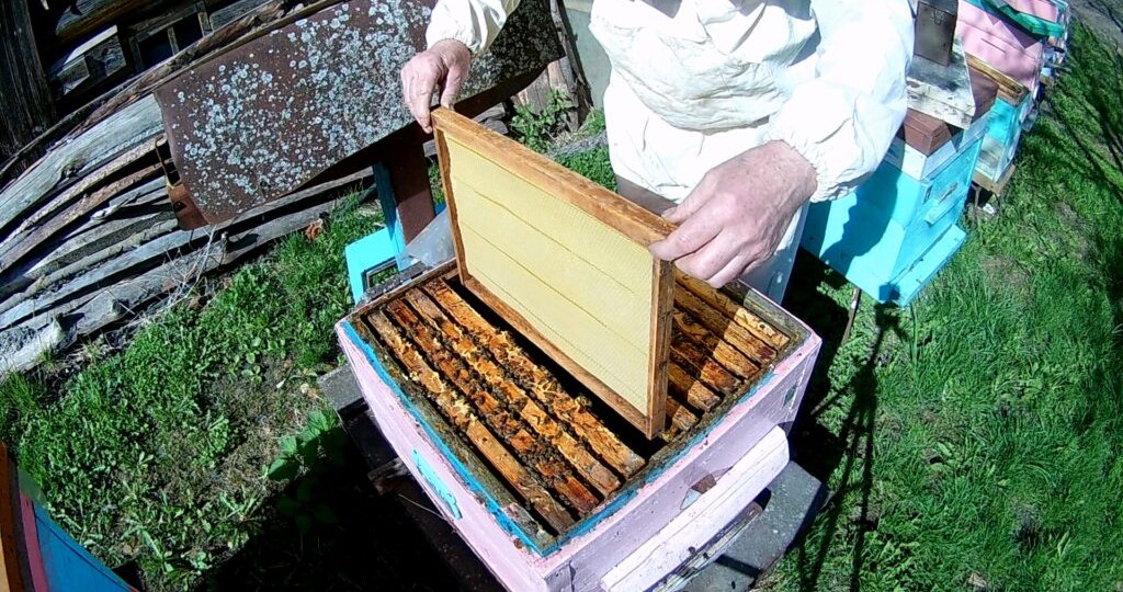 Когда ставить вощину: оптимальные условия