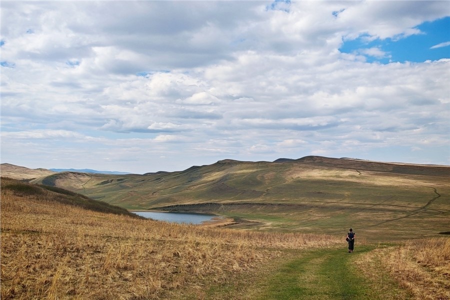 Земля степей
