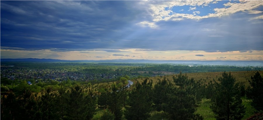 Земля лесов
