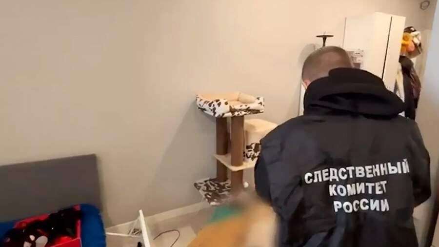    Фото: ГСУ СК России по Московской области