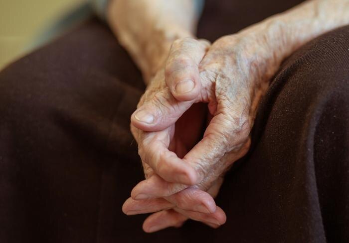 Обложка © Shutterstock / FOTODOM / Maliutina Anna