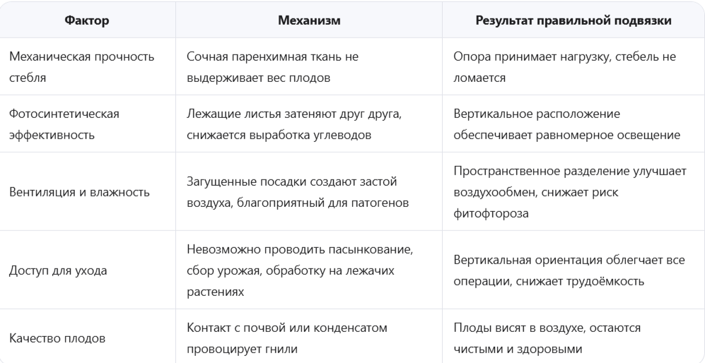 Биологические основания для подвязки