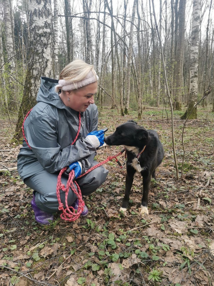 Ну вот такая я, сразу не поверю, даже за вкусняшки