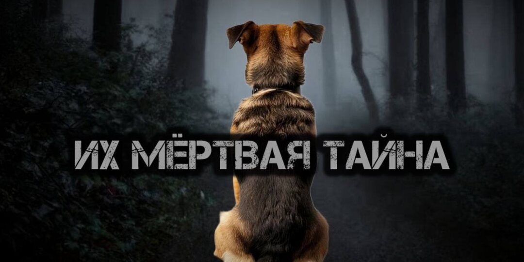 Собака нашла человеческие останки, которые помогли раскрыть тайну пожилой пары...