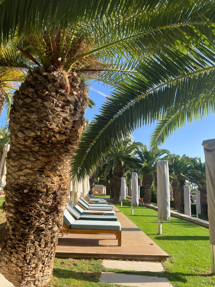 Качественные лежаки и матрасы - один из ключевых факторов, влияющих на комфорт гостей. 