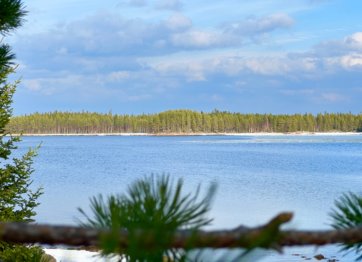 Все фото: канал Зоркий 