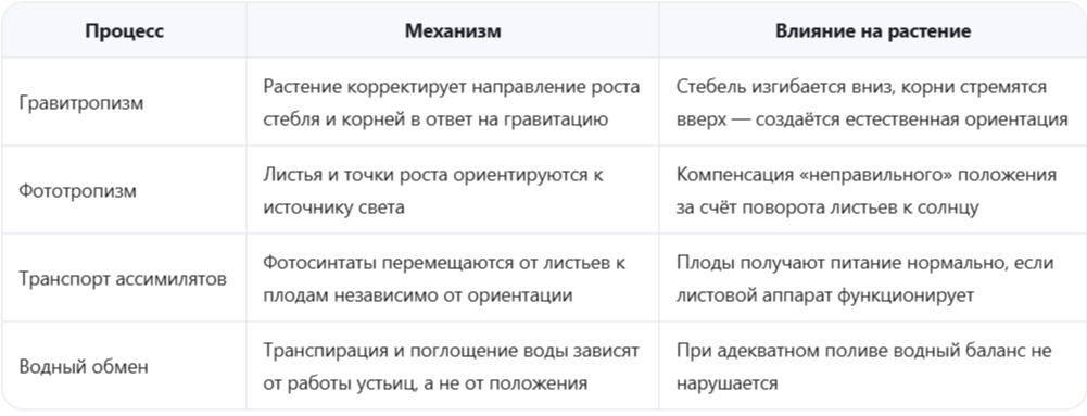 Биологические механизмы, лежащие в основе метода