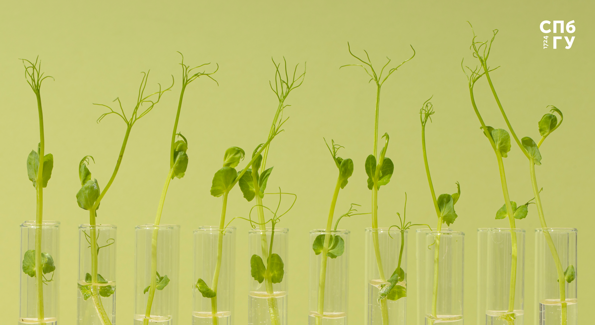 Источник: Freepik