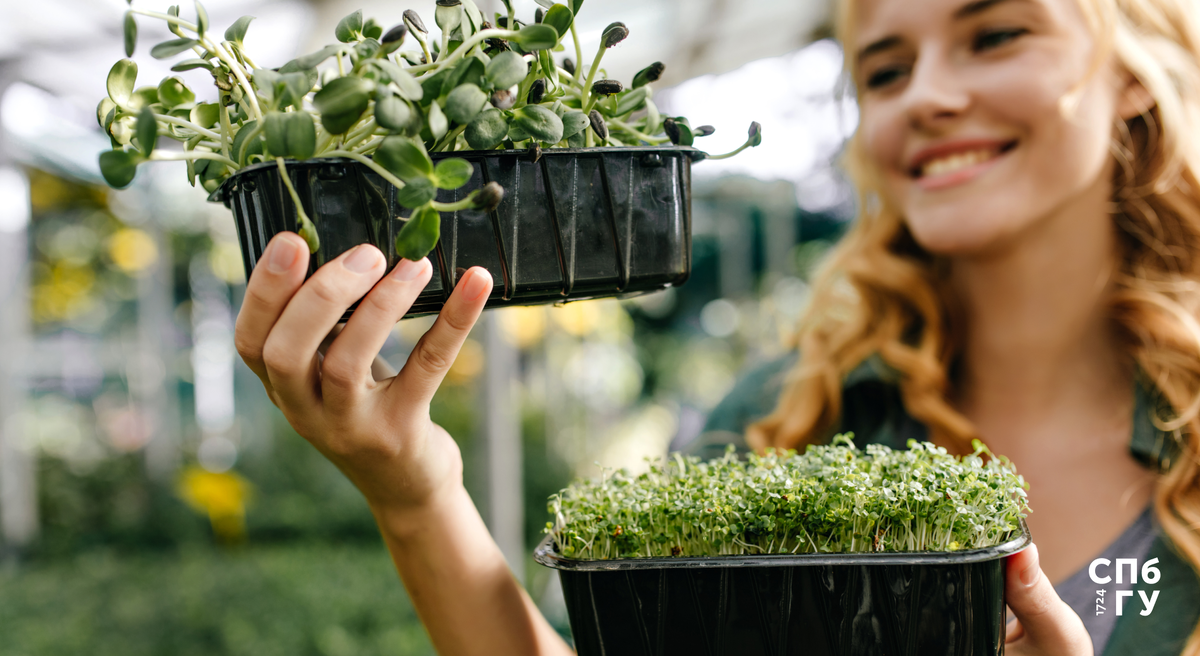 Источник: Freepik