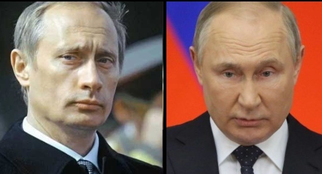 Фото-монтаж автора статьи