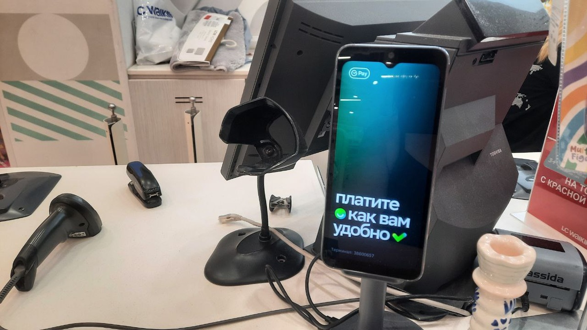 Россияне ищут решение для безналичной оплаты покупок при блокировке интернета
Фото:
Татьяна Воробьёва / ForPost