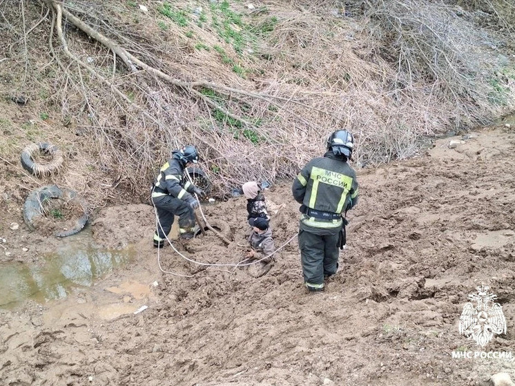     Фото: МЧС России по Чувашии