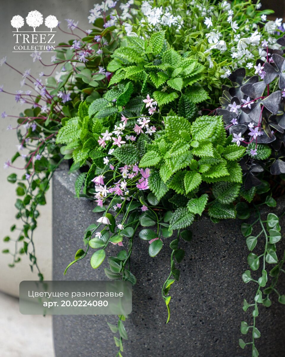 Кашпо и растения TREEZ Collection