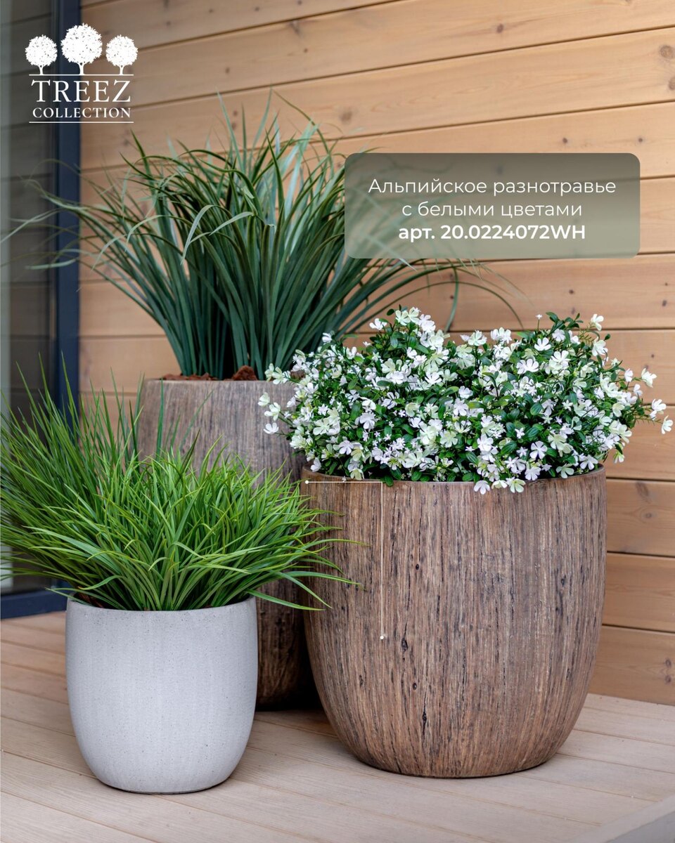 Кашпо и растения TREEZ Collection