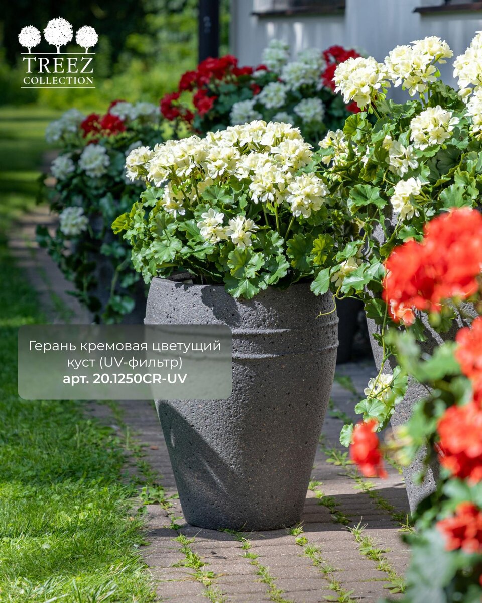 Кашпо и растения TREEZ Collection