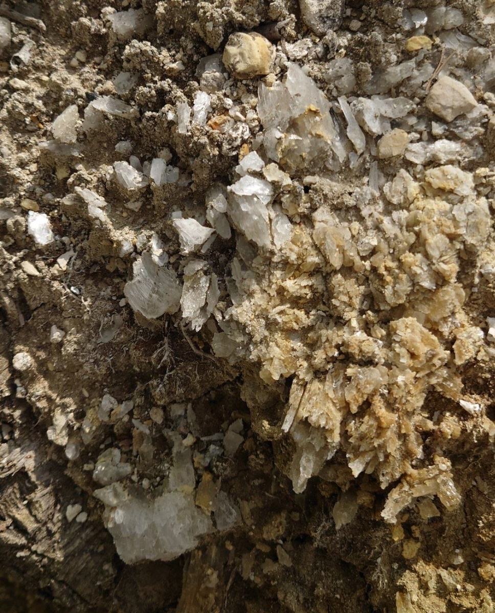 На фото селенит Водинского месторождения (мои находки прошлого лета)