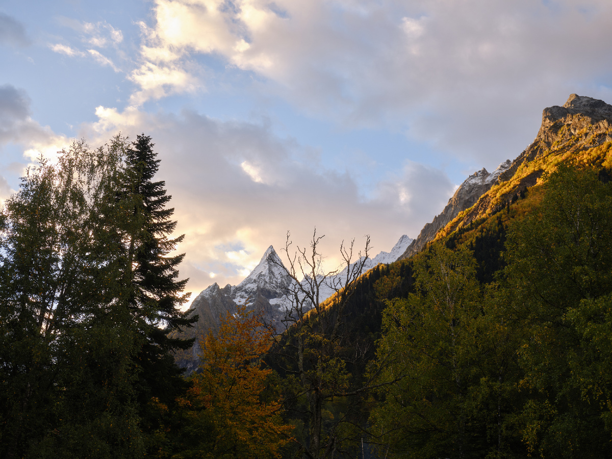 Фото СК "СЕМЬЯ"