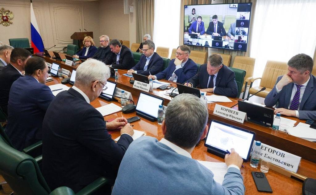 На совещании в Совете Федерации по развитию электроэнергетического комплекса ДФО