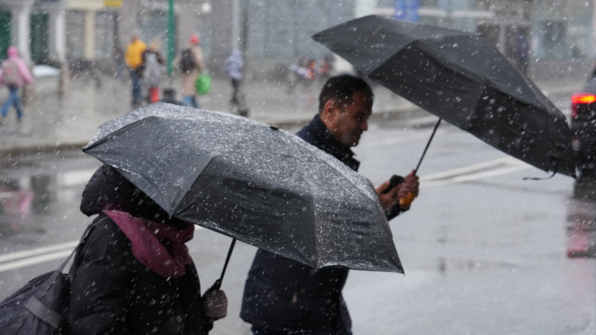    Фото: ИЗВЕСТИЯ/Эдуард Корниенко