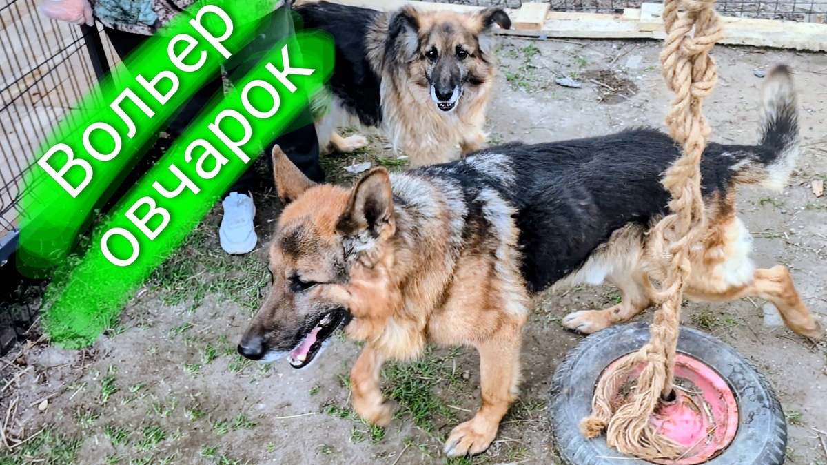 Мила и Мигдай 