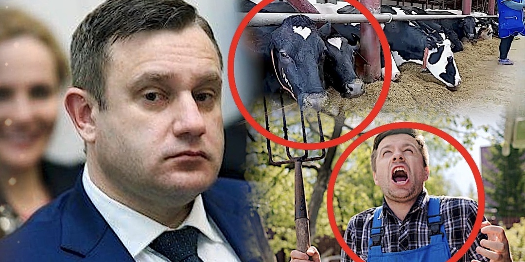 В деле о массовом изъятии скота есть первый громкий арест, вот только фигурант уже подался в бега: Новые подробности нашумевшего дела