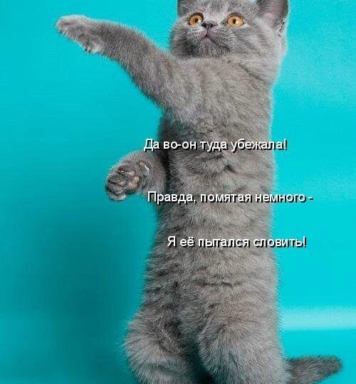 Мемы для хорошего настроения