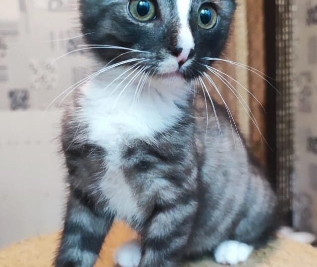 Про Сёму и предательство