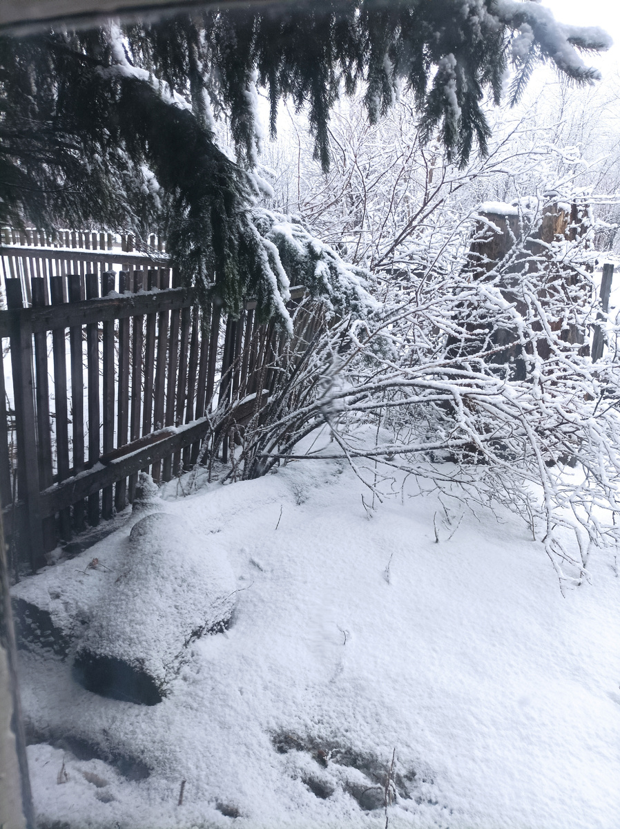 Вид из нашей халупы