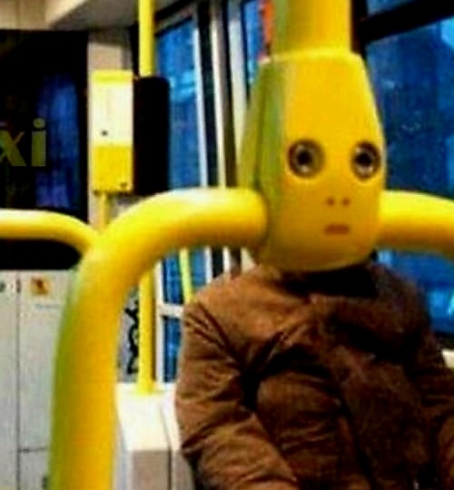 25 картинок, которые поднимут настроение за секунду