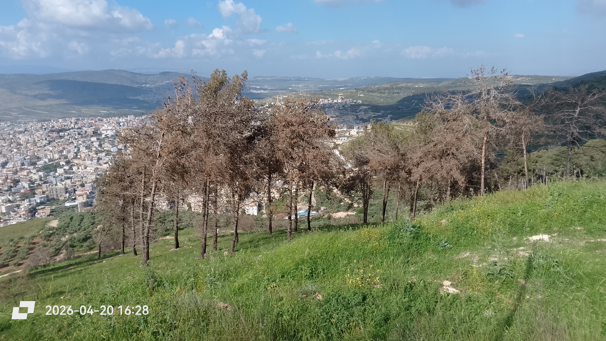 Вид в одну сторону
